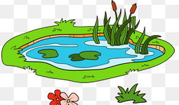 漫画池塘,自然生态的生动画卷